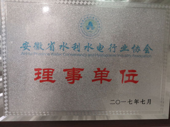 安徽省水利水電行業(yè)協(xié)會(huì)理事單位證書(shū)